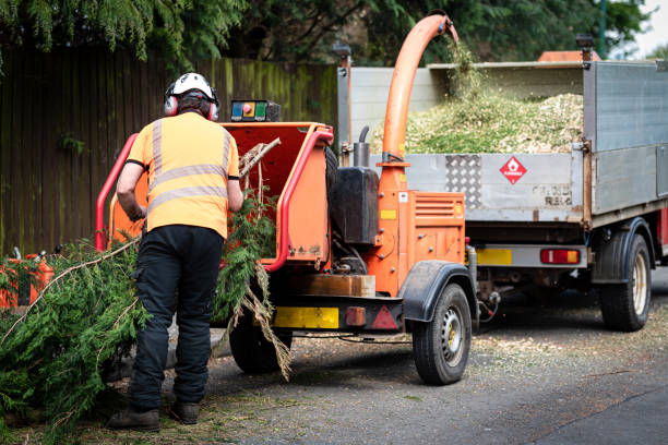 Best Storm Damage Tree Cleanup  in Le Center, MN